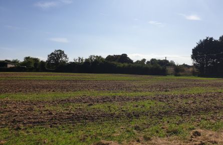 Farm Land